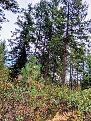 706 mccammon Rd, Elk, WA 99009