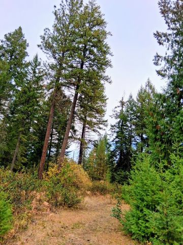 706 mccammon Rd, Elk, WA 99009