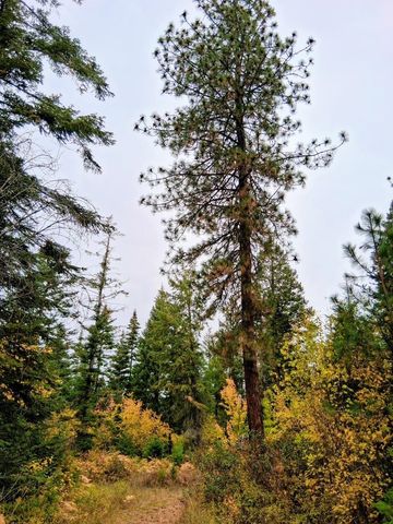 706 mccammon Rd, Elk, WA 99009