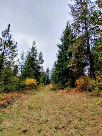 706 mccammon Rd, Elk, WA 99009