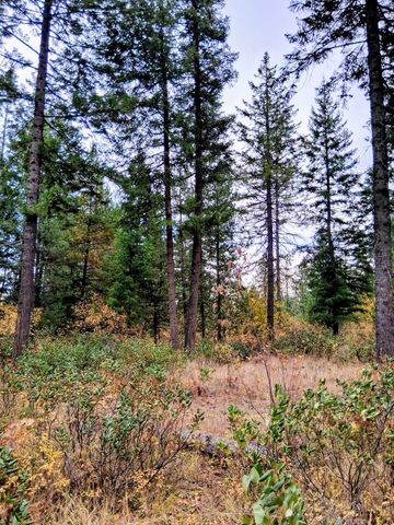 706 mccammon Rd, Elk, WA 99009