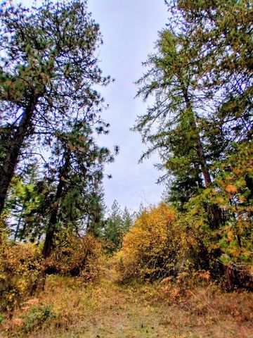 706 mccammon Rd, Elk, WA 99009