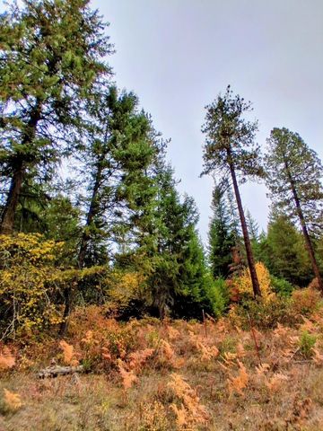 706 mccammon Rd, Elk, WA 99009