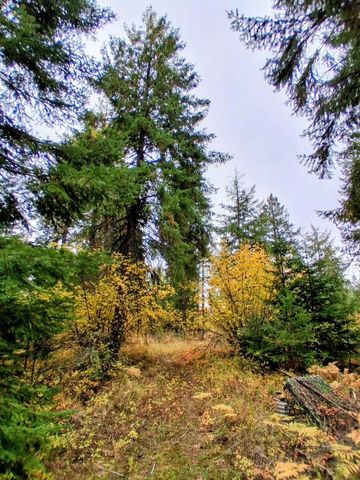 706 mccammon Rd, Elk, WA 99009