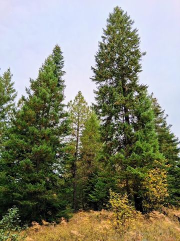 706 mccammon Rd, Elk, WA 99009