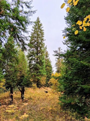 706 mccammon Rd, Elk, WA 99009