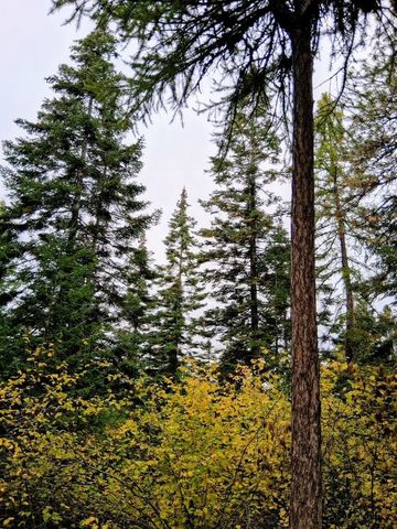 706 mccammon Rd, Elk, WA 99009