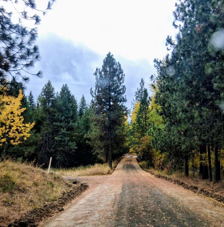 706 mccammon Rd, Elk, WA 99009