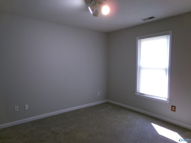 115 Fenwick Place, Harvest, AL 35749