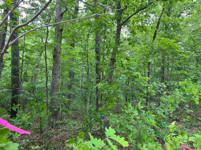 Lot 7 Tall Oaks Trail, Mammoth Spring, AR 72554