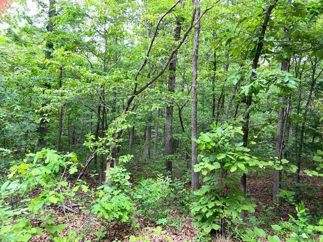 Lot 7 Tall Oaks Trail, Mammoth Spring, AR 72554