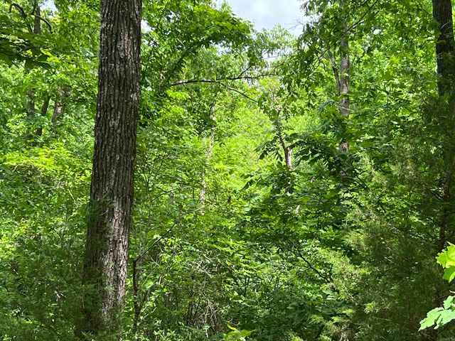 Lot 7 Tall Oaks Trail, Mammoth Spring, AR 72554