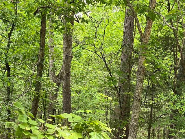 Lot 7 Tall Oaks Trail, Mammoth Spring, AR 72554