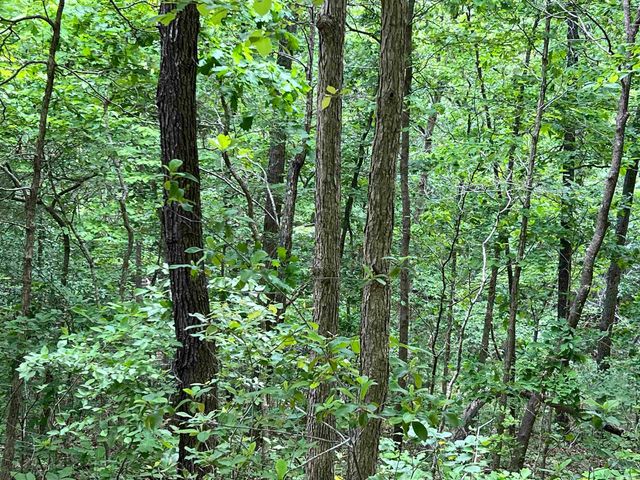 Lot 7 Tall Oaks Trail, Mammoth Spring, AR 72554