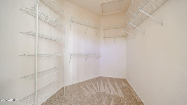 13611 W VIA TERCERO --, Sun City West, AZ 85375