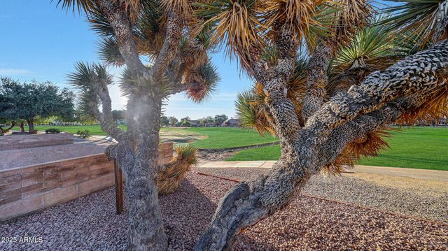 13611 W VIA TERCERO --, Sun City West, AZ 85375