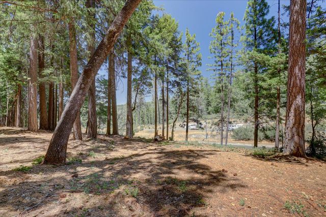11782 Brunswick Pines Rd, Grass Valley, CA 95945