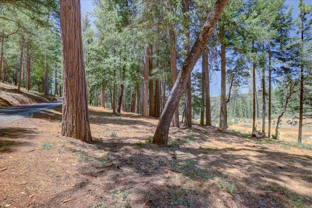 11782 Brunswick Pines Rd, Grass Valley, CA 95945