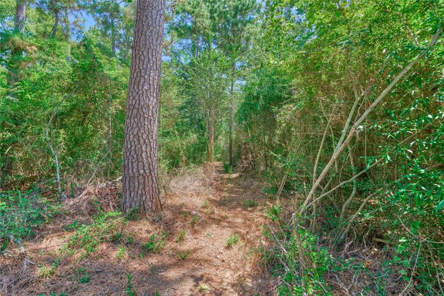 66 Valley Oaks Circle, The Woodlands, TX 77382