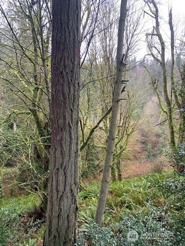 0 XXX Hellman Road, Clinton, WA 98236