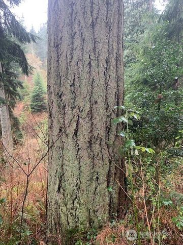 0 XXX Hellman Road, Clinton, WA 98236