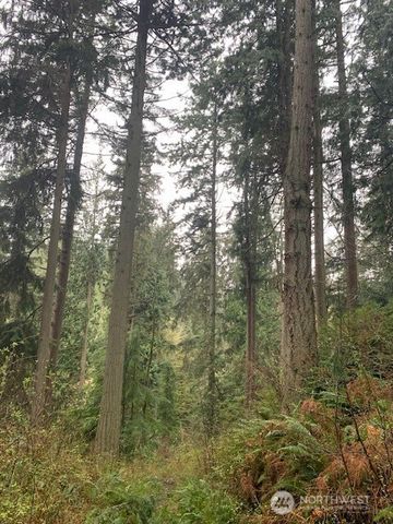 0 XXX Hellman Road, Clinton, WA 98236