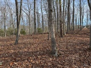Lot 38 Chestnut DR, Hardy, VA 24101