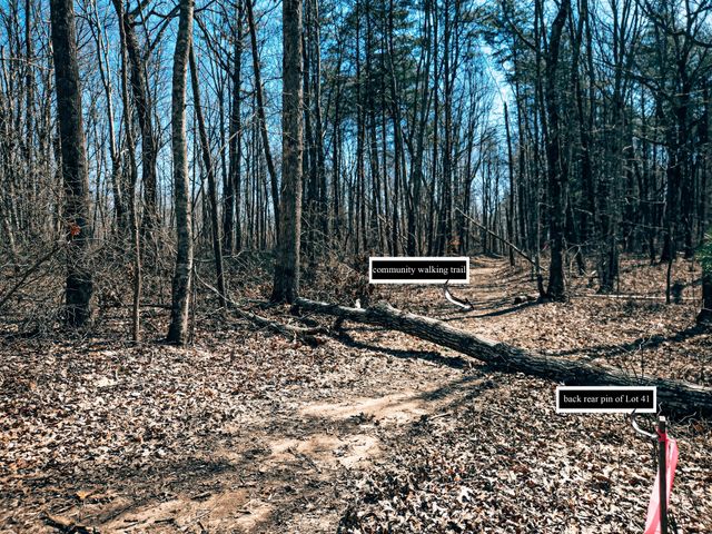 73 Twilight Pt, Monteagle, TN 37356