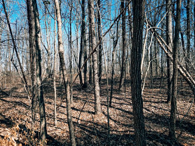 73 Twilight Pt, Monteagle, TN 37356