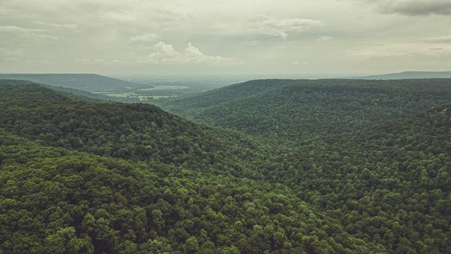 73 Twilight Pt, Monteagle, TN 37356
