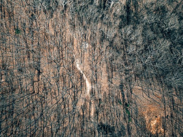 73 Twilight Pt, Monteagle, TN 37356