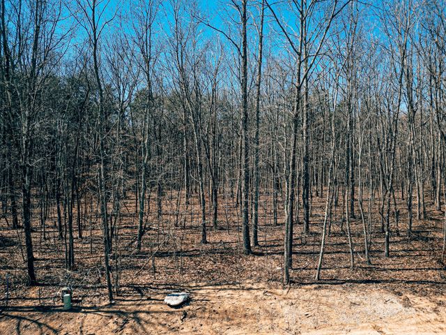 73 Twilight Pt, Monteagle, TN 37356
