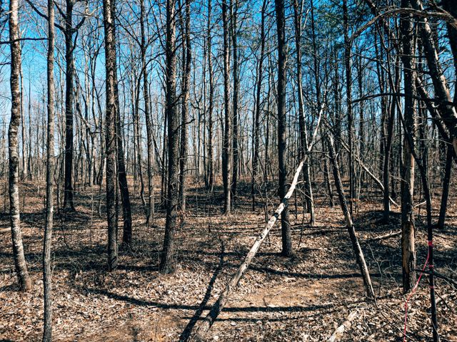 73 Twilight Pt, Monteagle, TN 37356