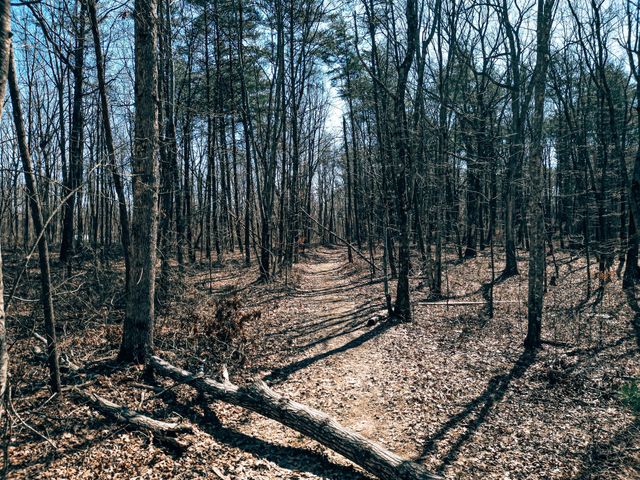 73 Twilight Pt, Monteagle, TN 37356