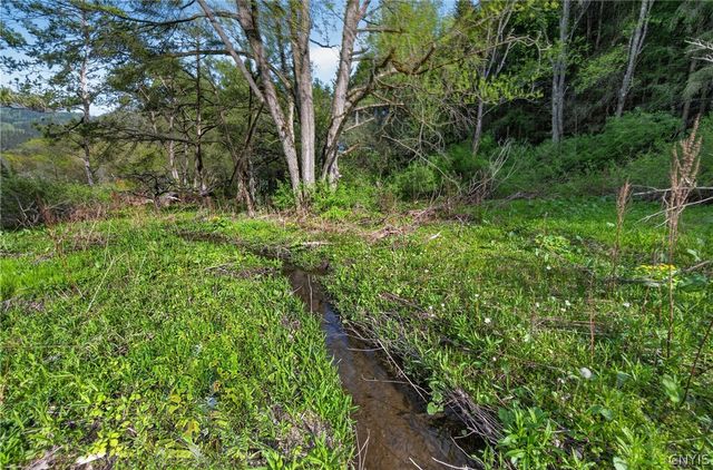 1024 North Road, Tully, NY 13159
