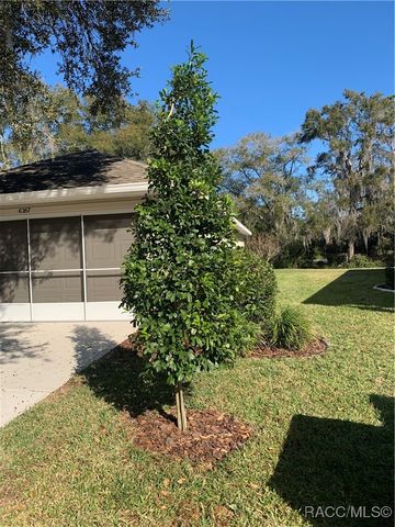 6267 W Glynborne Loop, Crystal River, FL 34429