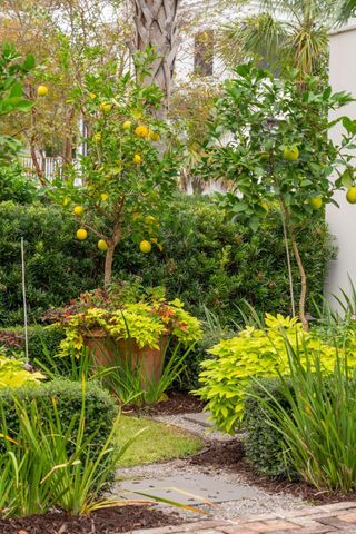 74 Halsey Boulevard, Charleston, SC 29401