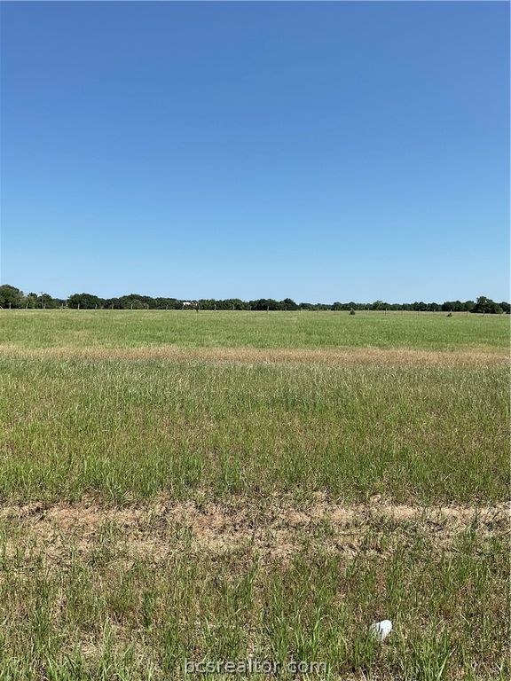 6402 Hardy Weedon Road County Road, College Station, TX 77845 — photo 5