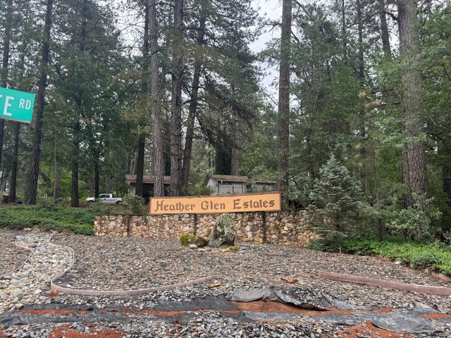 593 W Dundee, Applegate, CA 95703