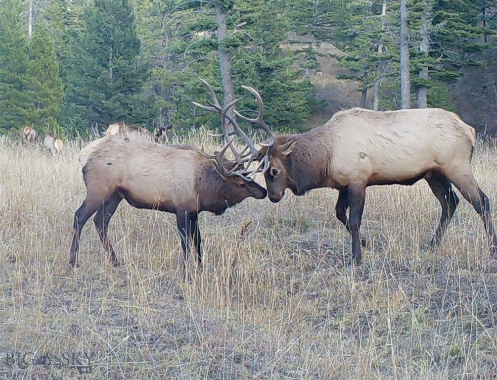 770 Mountain Moose Road, Bozeman, MT 59715 photo 10