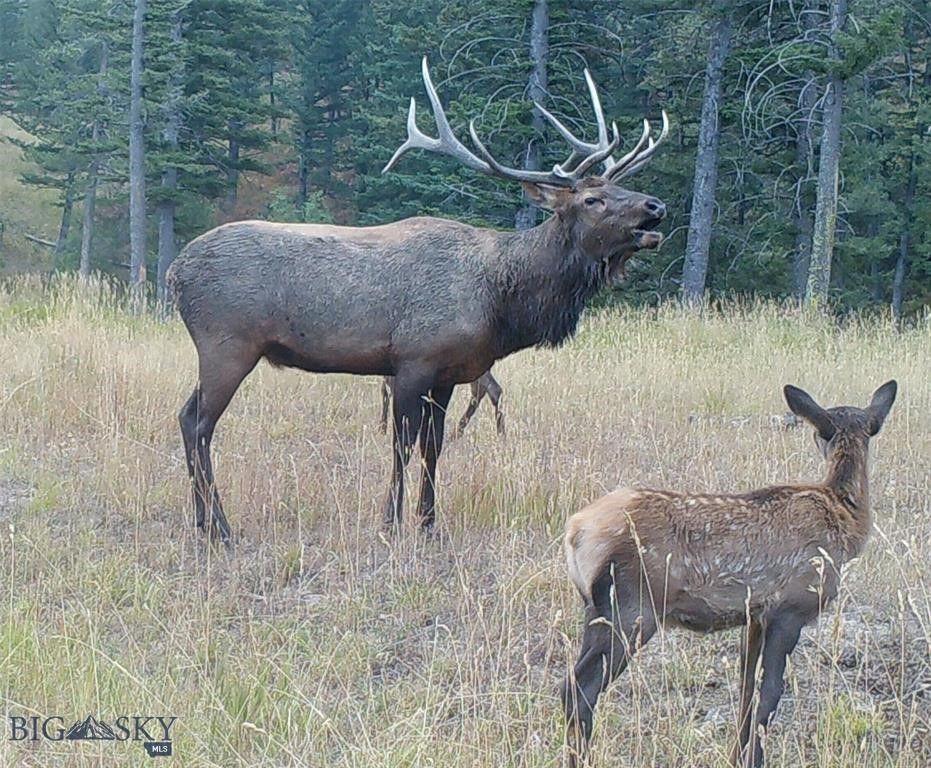 770 Mountain Moose Road, Bozeman, MT 59715 photo 11