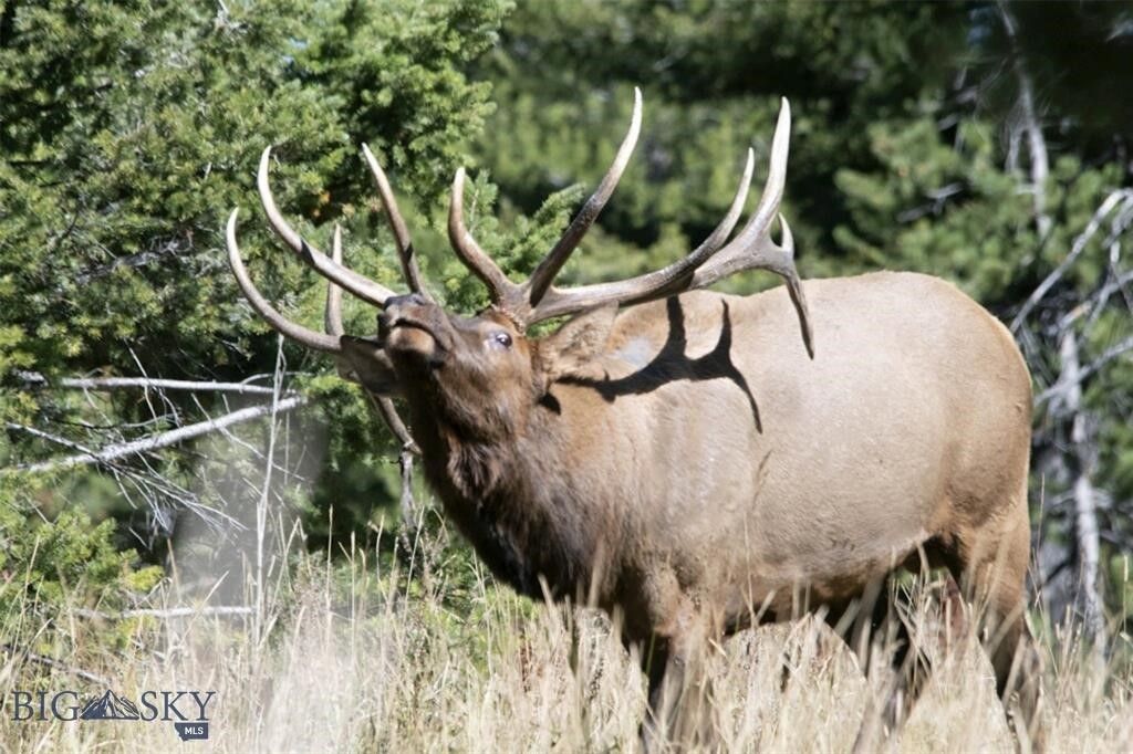 770 Mountain Moose Road, Bozeman, MT 59715 photo 12