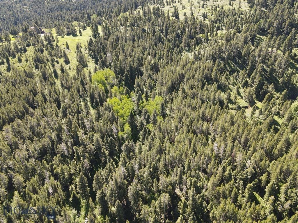 770 Mountain Moose Road, Bozeman, MT 59715 photo 26