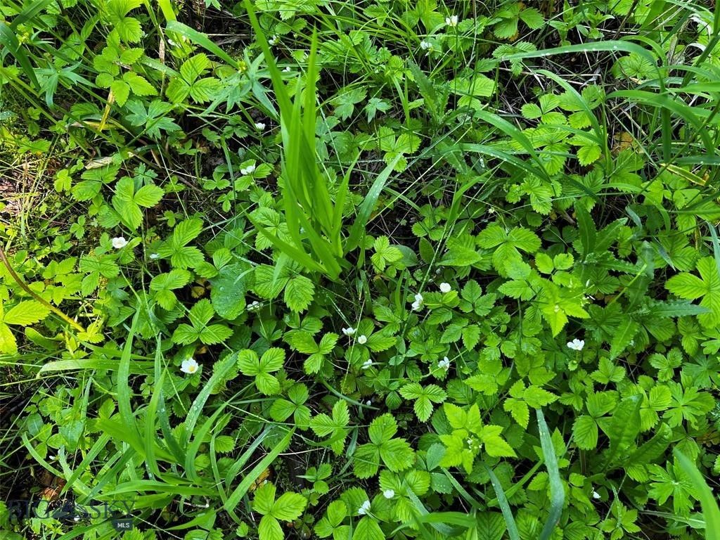 770 Mountain Moose Road, Bozeman, MT 59715 photo 27