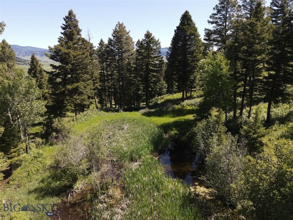 770 Mountain Moose Road, Bozeman, MT 59715 photo 31