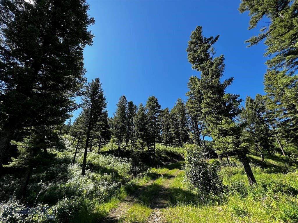 770 Mountain Moose Road, Bozeman, MT 59715 photo 38