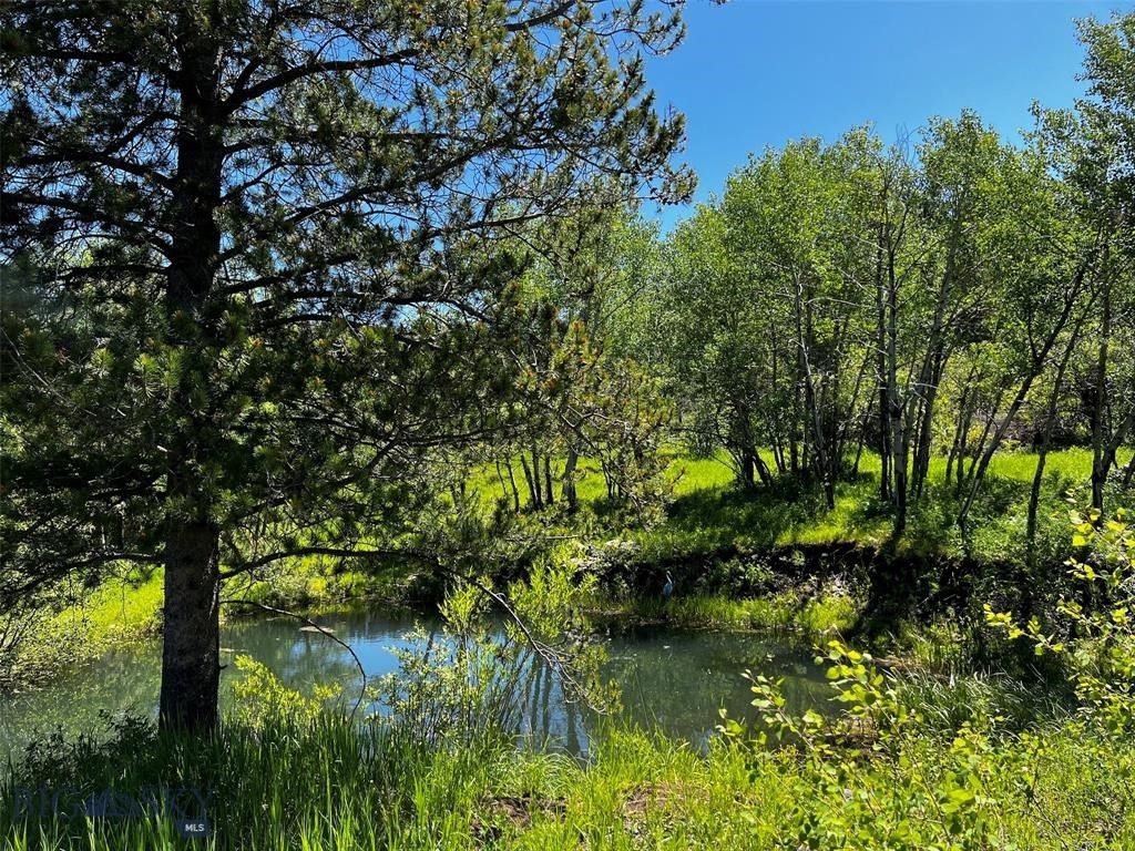 770 Mountain Moose Road, Bozeman, MT 59715 photo 46