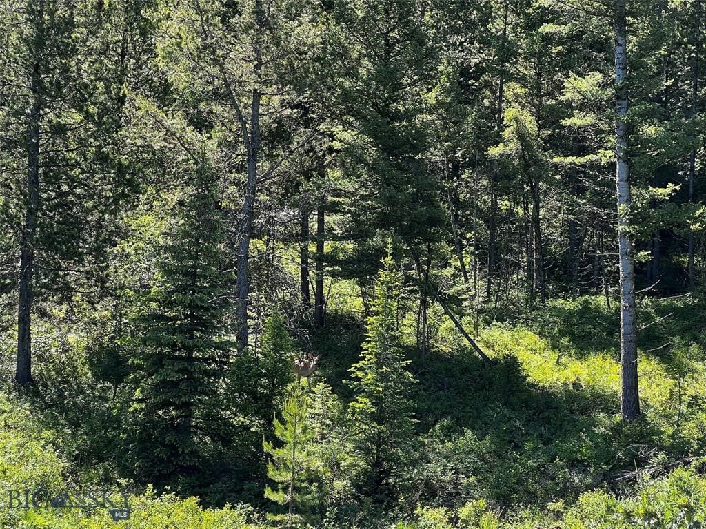 770 Mountain Moose Road, Bozeman, MT 59715 photo 47