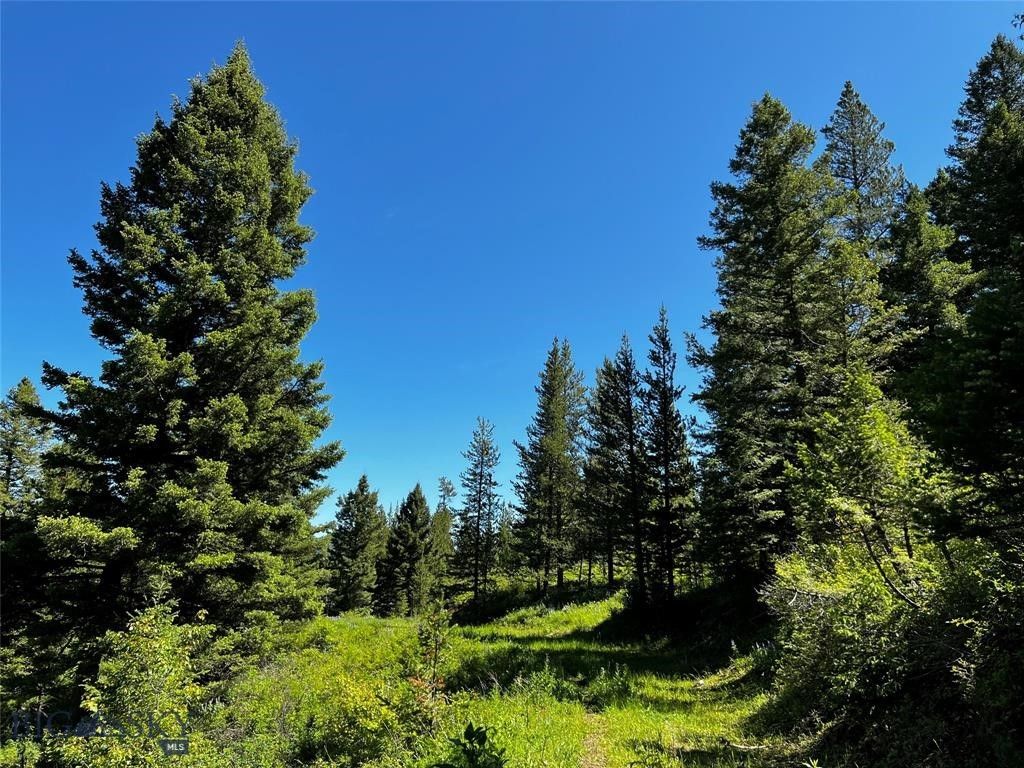 770 Mountain Moose Road, Bozeman, MT 59715 photo 48