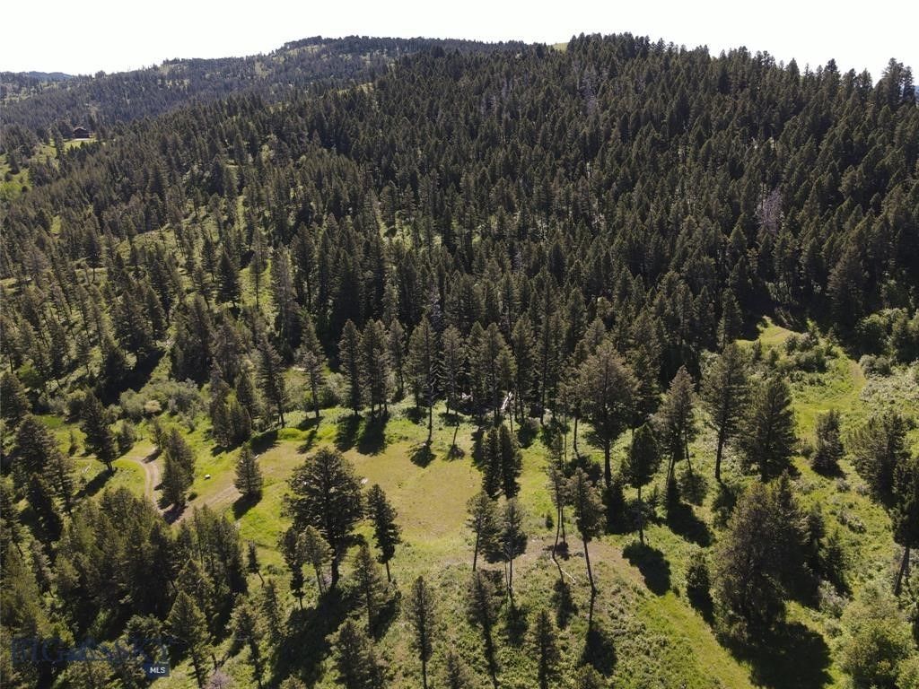 770 Mountain Moose Road, Bozeman, MT 59715 photo 52